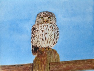 IMG_0555      24 x 30 cm.JPG