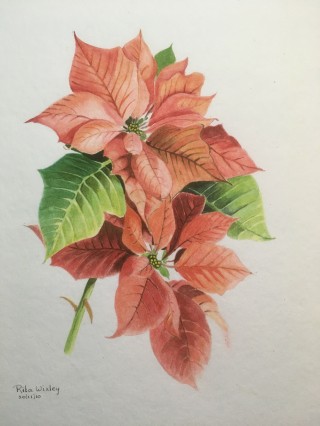 Kerstster           30 x 24 cm.jpg