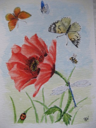 Verj.dagskaart 18 x 12 cm.JPG