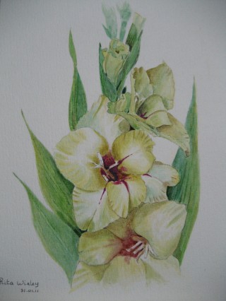 IMG_0572         24 x 18 cm.JPG