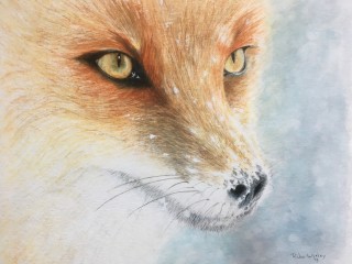 IMG_4220      24 x 30 cm.jpg