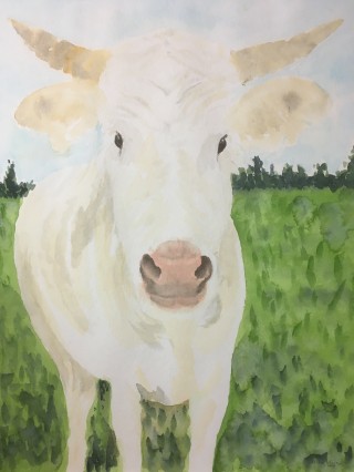 IMG_6206      50 x 40 cm.jpg