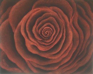 Rode Roos        32 x 40 cm Pastel.jpg