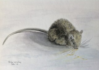 IMG_0550      24 x 30 cm.JPG