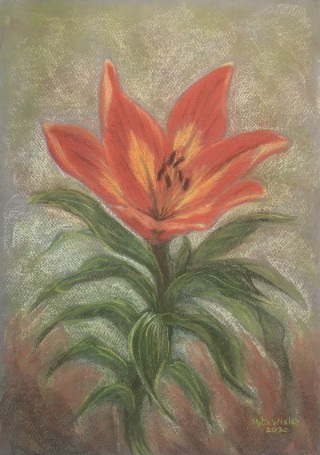 Lelie                   42 x 29.7 cm  Pastel.jpg