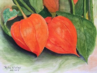 Lampioen      18 x 24 cm.jpeg