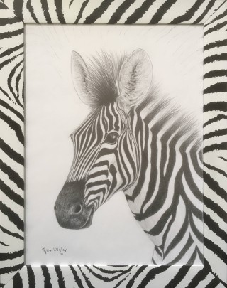 Zebra               39 x 29 cm.jpg
