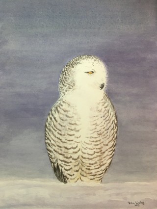 Sneeuwuil     40 x 30 cm.jpg