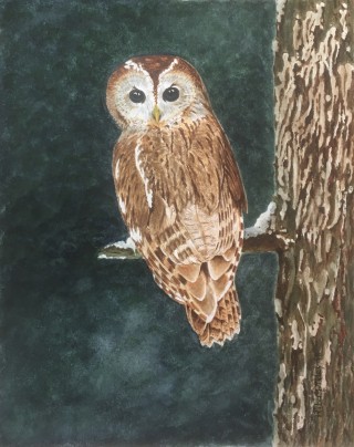 IMG_6196      30 x 24 cm.jpg