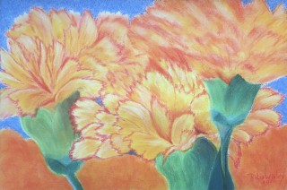 Anjers              40 x 60 cm   Pastel.jpg