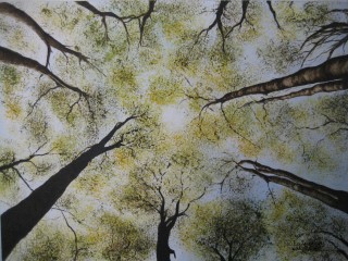 Kijk naar boven             30 x 40 cm.jpg