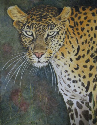 IMG_1773      30 x 24 cm.JPG