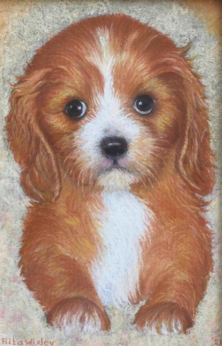 Doortje           15 x 10 cm      pastel.jpg